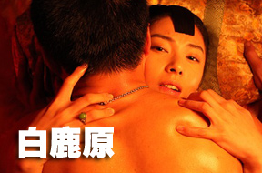 白鹿原