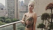 斥资百万 Lady Gaga再揽犰狳鞋入怀时尚完整版视频在线观看爱奇艺