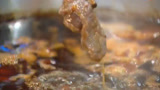 食话实说之新鲜牦牛肉火锅