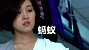 蚂蚁