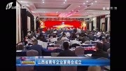 山西省青年企业家商会成立资讯完整版视频在线观看爱奇艺