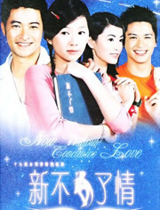 新不了情(2002)