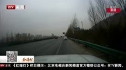 电动车高速公路应急车道逆行被处罚资讯高清正版视频在线观看–爱奇艺