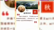 春风十里乘公交去转转 线路推介还很小清新资讯搜索最新资讯爱奇艺