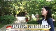 面朝西湖背靠孤山是谁坐拥这绝佳地理位置?资讯高清正版视频在线观看–爱奇艺