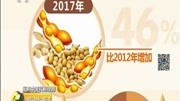 美301调查波及大豆市场 大豆期货价格震荡下行资讯高清正版视频在线观看–爱奇艺