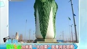 20米高“大白菜”现身河北邯郸资讯完整版视频在线观看爱奇艺