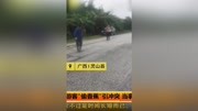 广西:游客“偷香蕉”引冲突 当事人回应资讯高清正版视频在线观看–爱奇艺