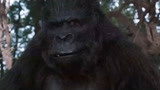 金凯瑞爆笑喜剧《神探飞机头2》，被母猩猩看上是什么体验？