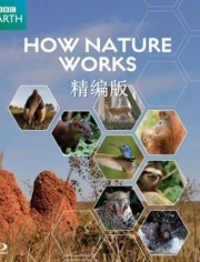 自然的运作 精编版