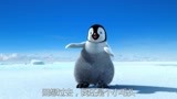波波在雪地里嗨跳踢踏舞开心得像个两百斤的企鹅