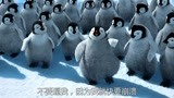 这位企鹅宝宝swag满分啊你去参加中国新说唱吧