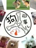 当年迈克尔杰克逊的专业伴舞 毫无违和感-小视频-完整版视频在线观看-爱奇艺