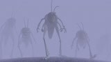 蚱蜢们可怕的样子 从迷雾中渐渐的出现