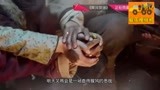 黄河英雄电视剧全集第1集开播好评不断