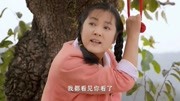 岁岁年年柿柿红:女子说,你看我干啥!第1集岁岁年年柿柿红:女子说,你看我干啥!片花完整版视频在线观看爱奇艺