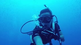Watch the latest Diving in Koh Tao Episode 3 (2019) online with English subtitle for free English Subtitle