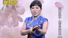 河南坠子《刘公传奇3》胡银花