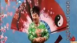 李冬梅 河南坠子 杨六郎扫北 好听 002