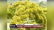 推进富硒产业高质量发展 叫响洛阳富硒品牌资讯高清正版视频在线观看–爱奇艺