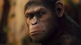 猩球崛起：猩猩盗取药剂，给众猩猩使用，效果明显，智力瞬提升