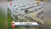 G4下乡:南沙莲藕大丰收资讯高清正版视频在线观看–爱奇艺