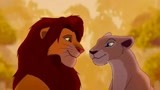 狮子王：狮王交友不慎，谈个恋爱都有人捣乱，真不让人安生！