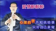 电吹管演奏的《爱情醉醉醉》旋律优美音乐背景音乐视频音乐爱奇艺