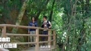 傣族的习俗文化,男女是可以一起共浴的,小伙真是乐坏了片花完整版视频在线观看爱奇艺