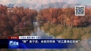 “醉”美宁波: 余姚四明湖“浙江最美红杉林”资讯搜索最新资讯爱奇艺