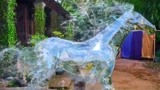 越南版《灰姑娘》：女孩得到一匹水晶马，骑上它成功当上了皇后