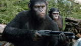几分钟看完高分科幻电影《猩球崛起》猩猩拥有人类的智慧会怎样