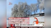 六旬老人舞10米彩龙全国各地打卡资讯高清正版视频在线观看–爱奇艺