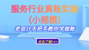 服务行业真账实操(小规模):老会计手把手教你学做账 支付平台推广课实操知识名师课堂爱奇艺