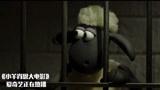 小羊肖恩大电影：小羊肖恩被发现，被抓进了监狱，太惨了