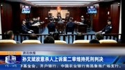 孙文斌故意杀人上诉案二审维持死刑判决资讯搜索最新资讯爱奇艺