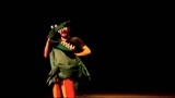 巴西巨型偶剧《神奇动物在哪里》