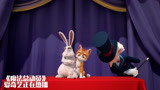 魔法总动员：小猫和兔子成为好朋友，帮助魔法师变魔术，真棒