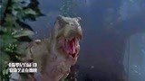 侏罗纪公园3：看过恐龙打架吗？暴龙对战棘背龙，棘背龙完胜