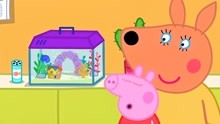 小猪佩奇：佩奇在凯莉家度假，凯莉是生物学家，研究各种鱼