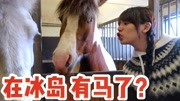 VLOG丨冰岛生活的日常丨借了匹马来养养原创完整版视频在线观看爱奇艺