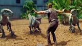 侏罗纪世界：小伙喂恐龙，竟不小心掉进恐龙园，竟被迅猛龙围攻