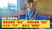 邢台警方曾端掉“肾脏黑市”,器官黑市交易图震惊众人……原创完整版视频在线观看爱奇艺