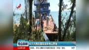 40只河鹿在鄱阳湖朱袍山野放资讯搜索最新资讯爱奇艺