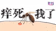 癢癢癢癢癢 為什么這屆蚊子這么毒？