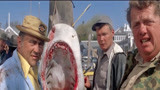 大白鲨：捕鲨人成网红，有课都要和他拍照，鲨鱼是假的！