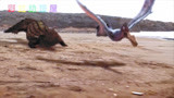 恐龙世界 侏罗纪世界 小翼龙在古代鳄鱼的追杀下终于学会了飞行！