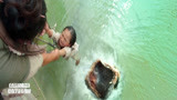 西游降魔：小女孩被河妖一口吞，亲妈跳下水单挑，太凶残了