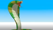 拼搭动物世界 第173集 眼镜蛇