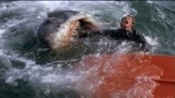大白鲨：众人在海边嬉戏，鲨鱼竟突然闯入，场面一片造成混乱！